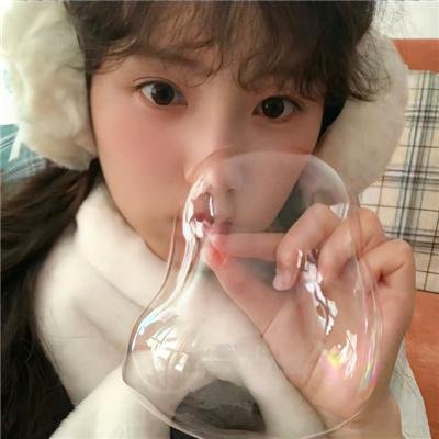 真假王爷